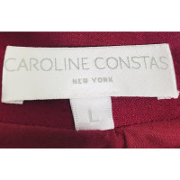 Caroline Constas Skirt Silk in Bordeaux