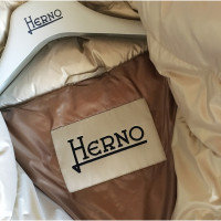 Herno Top in Gold