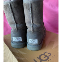 Ugg Australia Boots in Grey