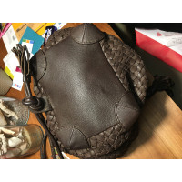 Dragon Backpack Leather in Brown