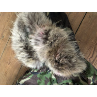 Camouflage Couture Veste/Manteau en Coton en Kaki