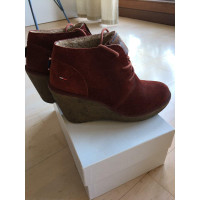 Tommy Hilfiger Ankle boots Suede in Bordeaux