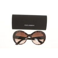 Dolce & Gabbana Sunglasses in Brown