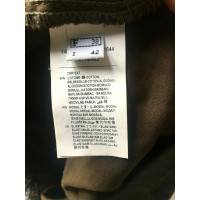 Plein Sud Trousers Cotton in Khaki