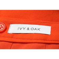 Ivy & Oak Rok in Oranje