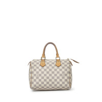 Louis Vuitton Speedy 25 in Tela in Bianco