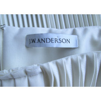 Jw Anderson Gonna in Lana