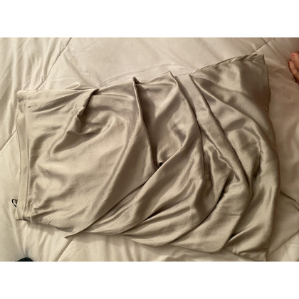 Elisabetta Franchi Skirt Silk in Silvery