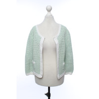 0039 Italy Knitwear Cotton