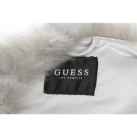Guess Vest in Grey