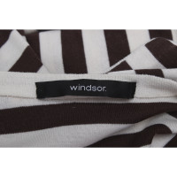 Windsor Bovenkleding Jersey