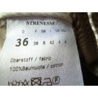 Strenesse Blue Jacket/Coat Cotton in Beige