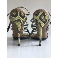 Dolce & Gabbana Sandalen aus Leder in Ocker