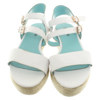 Pollini Wedges in wit