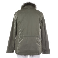 Max Mara Jacket/Coat Cotton in Green