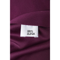 Iris & Ink Jumpsuit in Fuchsia