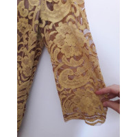 Liviana Conti Dress Cotton in Gold