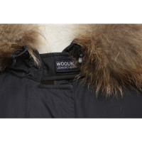 Woolrich Jacket/Coat in Blue