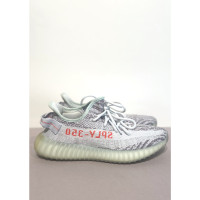 Yeezy Sneakers in Grijs