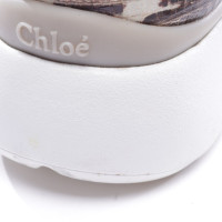 Chloé Blake Sneakers in Pelle