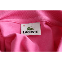 Lacoste Bovenkleding in Roze