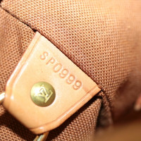 Louis Vuitton Montsouris Backpack MM25 in Braun