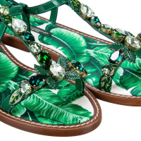 Dolce & Gabbana Sandalen aus Leder in Grün