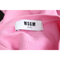 Msgm Top Cotton in Pink