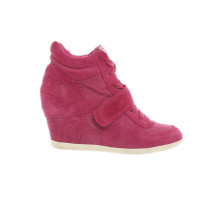 Ash Sneakers in Rosa / Pink