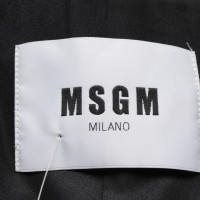 Msgm Giacca/Cappotto in Grigio