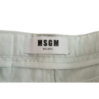 Msgm Shorts Cotton in Blue