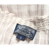 Polo Ralph Lauren Dress Cotton