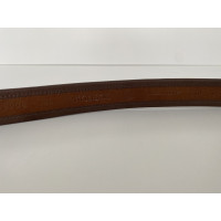 Windsor Belt Leather in Brown