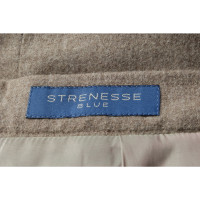 Strenesse Blue Skirt in Taupe