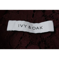 Ivy & Oak Top in Bordeaux