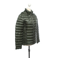 Calvin Klein Jeans Giacca/Cappotto in Verde