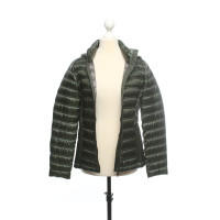 Calvin Klein Jeans Giacca/Cappotto in Verde