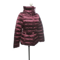 Max Mara Jacket/Coat in Bordeaux