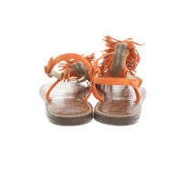 Sam Edelman Sandalen aus Leder in Orange
