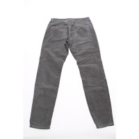 Closed Trousers Cotton in Grey