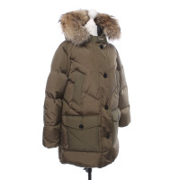 Woolrich Jacket/Coat in Olive