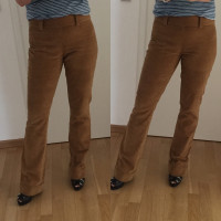 D&G Trousers Cotton in Ochre