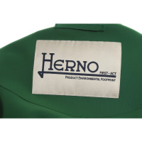 Herno Veste/Manteau en Vert