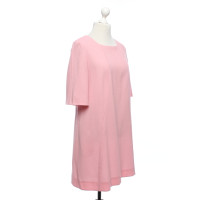 Goat Dress Wool in Pink
