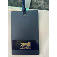 Roberto Cavalli Handbag Leather in Taupe