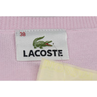 Lacoste Strick aus Baumwolle in Rosa / Pink