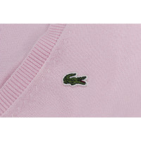 Lacoste Strick aus Baumwolle in Rosa / Pink