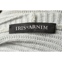 Iris Von Arnim Knitwear Cashmere in Grey