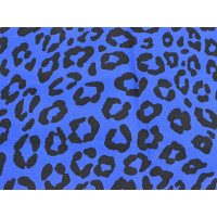 Marc Jacobs Scarf/Shawl Silk in Blue