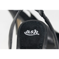 Ash Pumps/Peeptoes aus Leder in Schwarz